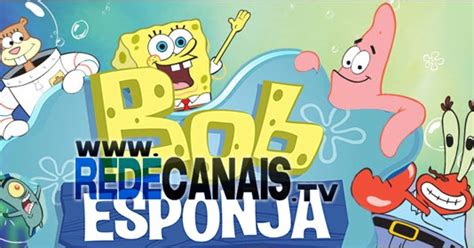 bob esponja redecanais|bob esponja rede de canais.